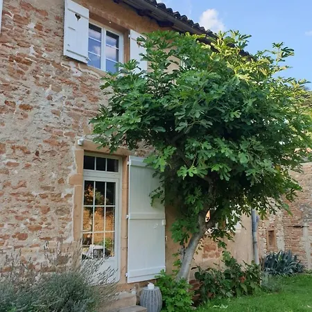 Le Gite Du Carge D'Arlay Charnay-les-Macon Exterior photo